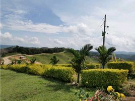  Terreno (Parcela) en venta en Cisneros, Antioquia, Cisneros