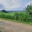  Land for sale in Bumiaji, Malang Regency, Bumiaji