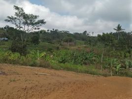  Grundstück zu verkaufen in Padalarang, West Jawa, Padalarang, Bandung