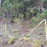 Terrain à vendre à Rionegro, Antioquia, Rionegro, Antioquia