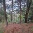 Terrain à vendre à Rionegro, Antioquia, Rionegro, Antioquia