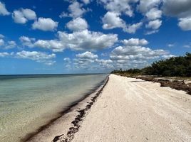  Terreno (Parcela) en venta en Dzidzantun, Yucatán, Dzidzantun