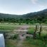  Land for sale in Ayacucho, San Luis, Ayacucho