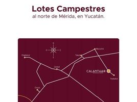  Grundstück zu verkaufen in Tixkokob, Yucatan, Tixkokob