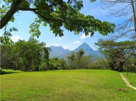  Land for sale in Titiribi, Antioquia, Titiribi