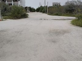  Terreno (Parcela) en venta en Lazaro Cardenas, Quintana Roo, Lazaro Cardenas