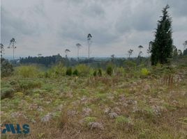  Terreno (Parcela) en venta en Guarne, Antioquia, Guarne