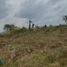  Land for sale in Guarne, Antioquia, Guarne