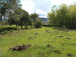  Land for sale in Cali, Valle Del Cauca, Cali