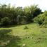  Land for sale in Cali, Valle Del Cauca, Cali