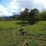  Land for sale in Cali, Valle Del Cauca, Cali