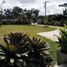  Land for sale in Cavite, Calabarzon, Tagaytay City, Cavite