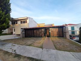  Appartement zu vermieten in Guadalajara, Jalisco, Guadalajara