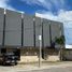 400 SqM Office for rent in Merida, Yucatan, Merida