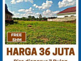  Land for sale in Banyuwangi, East Jawa, Gambiran, Banyuwangi