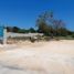  Grundstück zu verkaufen in Conkal, Yucatan, Conkal