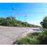  Land for sale in Merida, Yucatan, Merida