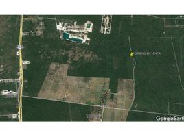  Land for sale in Merida, Yucatan, Merida