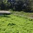  Terreno (Parcela) en venta en Ginyar, Bali, Ginyar, Gianyar, Bali, Indonesia