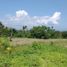  Terreno (Parcela) en venta en Ginyar, Bali, Ginyar, Gianyar, Bali, Indonesia