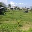  Terreno (Parcela) en venta en Ginyar, Bali, Ginyar, Gianyar, Bali, Indonesia