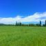  Land for sale in Retiro, Maule, Retiro, Linares