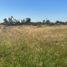  Land for sale in Silao, Guanajuato, Silao