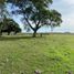  Land for sale in Upamaroti, Santana Do Livramento, Upamaroti