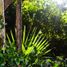 Terreno (Parcela) en venta en Cozumel, Quintana Roo, Cozumel