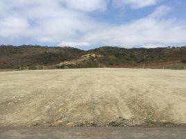  Land for sale in Daule, Guayas, Daule, Daule