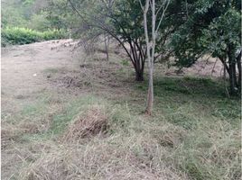  Grundstück zu verkaufen in Santa Fe De Antioquia, Antioquia, Santa Fe De Antioquia