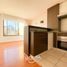 1 Bedroom Apartment for rent in Concepcion, Biobío, Concepcion, Concepción, Biobío