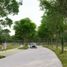  Land for sale in Tekom, Yucatan, Tekom