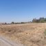  Terreno (Parcela) en alquiler en Talca, Maule, Maule, Talca