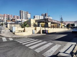 3 Habitación Departamento en venta en Tarapacá, Iquique, Iquique, Tarapacá