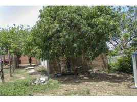  Land for sale in Magdalena, Santa Marta, Magdalena