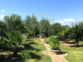  Villa zu verkaufen in Montemorelos, Nuevo Leon, Montemorelos