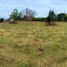  Land for sale in Chile, Villarrica, Cautin, Araucania, Chile