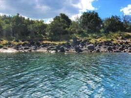  Land for sale in Chile, Villarrica, Cautin, Araucania, Chile