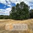  Terreno (Parcela) en venta en Chile, Rio Negro, Osorno, Los Lagos, Chile