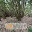  Terreno (Parcela) en venta en Chile, Rio Negro, Osorno, Los Lagos, Chile