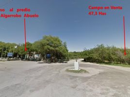  Land for sale in San Javier, Cordoba, San Javier