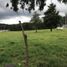 Land for sale in Acajete, Veracruz, Acajete