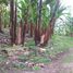  Land for sale in Santo Domingo De Los Colorados, Santo Domingo De Los Tsachilas, Santo Domingo De Los Colorados, Santo Domingo, Santo Domingo De Los Tsachilas