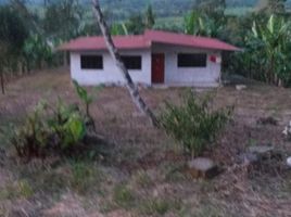  Land for sale in Santo Domingo De Los Colorados, Santo Domingo De Los Tsachilas, Santo Domingo De Los Colorados, Santo Domingo, Santo Domingo De Los Tsachilas