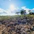  Terreno (Parcela) en venta en Alto Boquete, Boquete, Alto Boquete