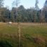  Land for sale in Chile, Villarrica, Cautin, Araucania, Chile