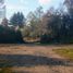  Land for sale in Chile, Villarrica, Cautin, Araucania, Chile