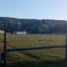  Land for sale in Chile, Villarrica, Cautin, Araucania, Chile