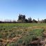  Terreno (Parcela) en venta en Los Andes, Valparaíso, Rinconada, Los Andes